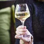 Hotel Logis Restaurant Bagatelle - 51530