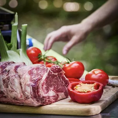 Logis Restaurant Bagatelle - 51530 Dizy