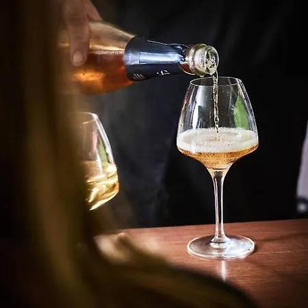 Hotel Logis Bagatelle - 51530 Dizy