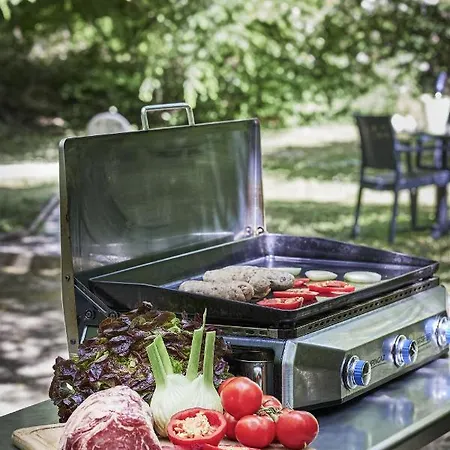 Hotel Logis Bagatelle - 51530 Dizy