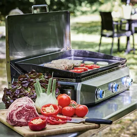 Logis Bagatelle - 51530 Hotell Dizy