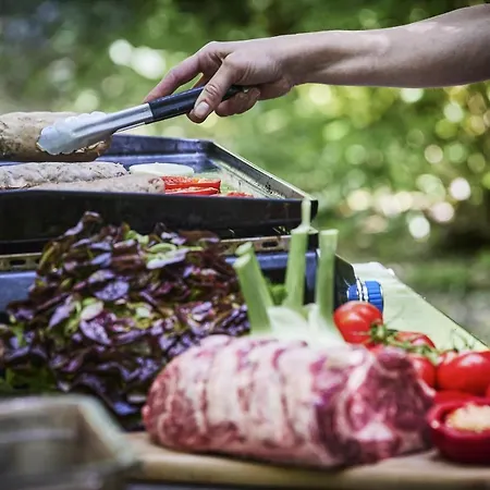 Logis Bagatelle - 51530