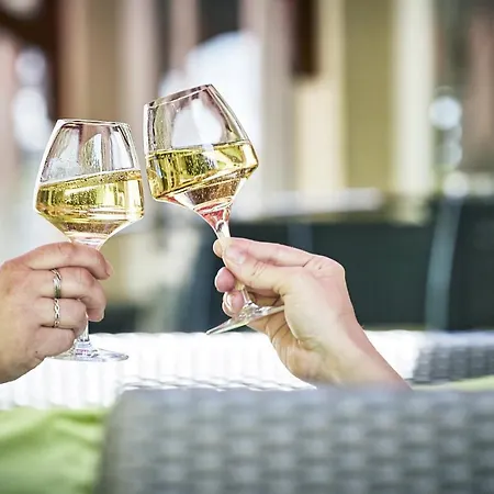 Hotell Logis Bagatelle - 51530 Dizy