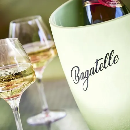 Logis Restaurant Bagatelle - 51530