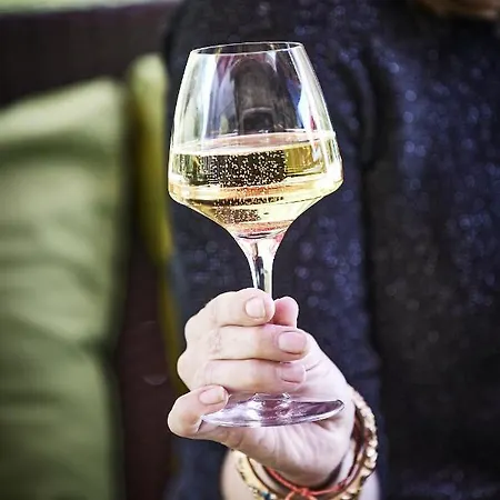 Hotel Logis Bagatelle - 51530