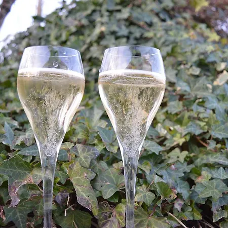 Hotel Logis Bagatelle - 51530