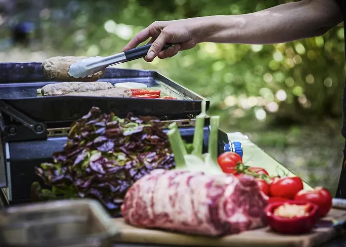 Logis Restaurant Bagatelle - 51530