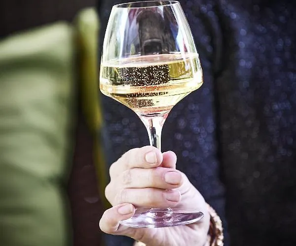 מלון Logis Restaurant Bagatelle - 51530